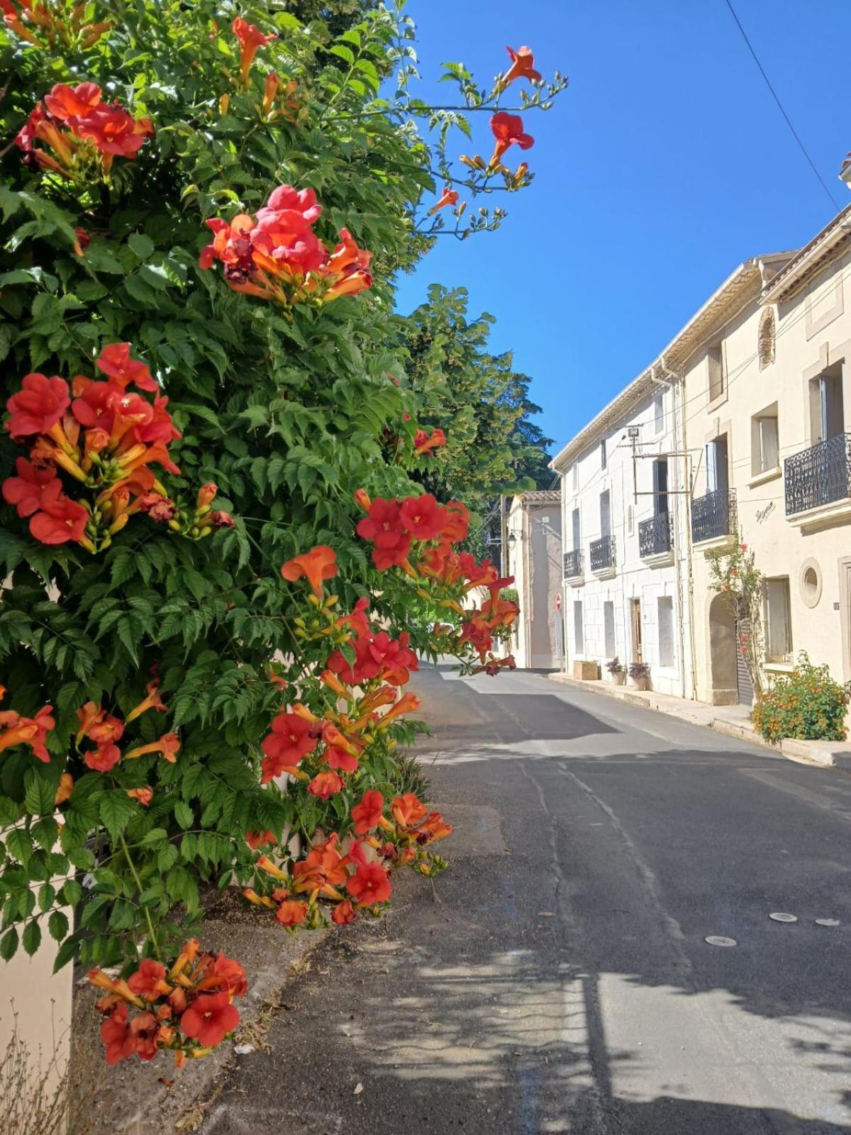 L'Oostaloo Logement De Vacances Usclas-l'Herault Extérieur photo